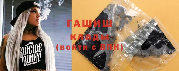 тгк Пересвет