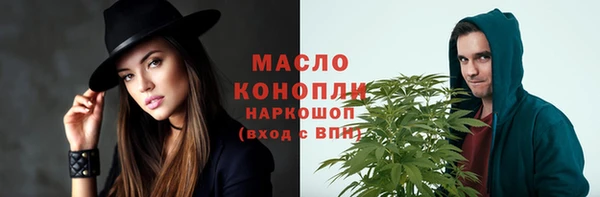 тгк Пересвет