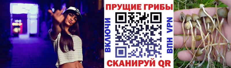 Псилоцибиновые грибы мухоморы  Алушта 