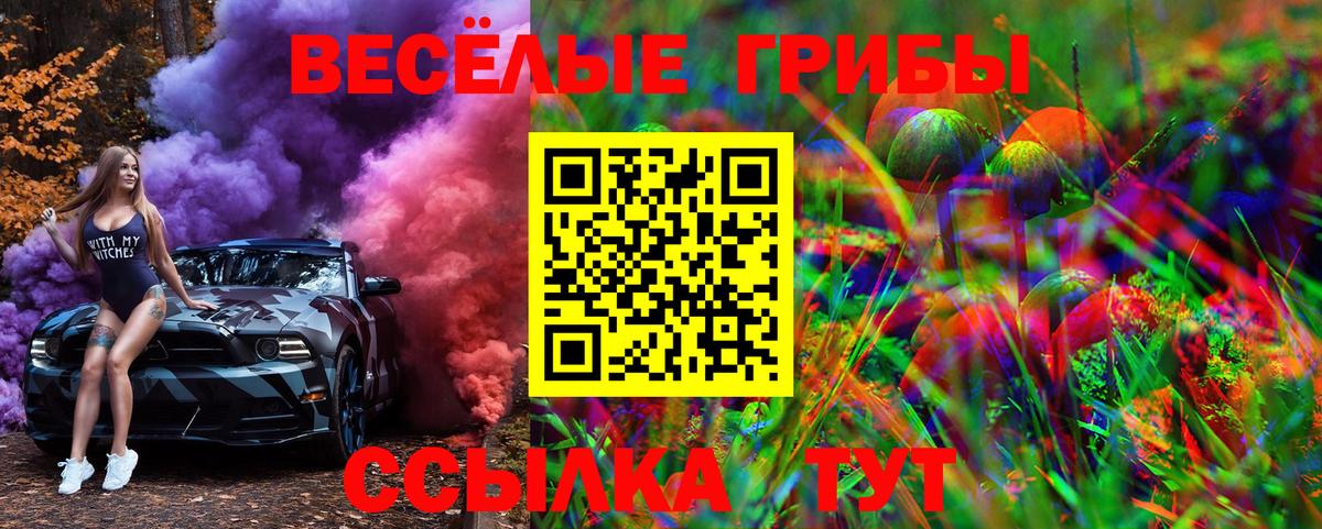 как найти закладки  Вход с VPN  Алушта  Галлюциногенные грибы Psilocybe 