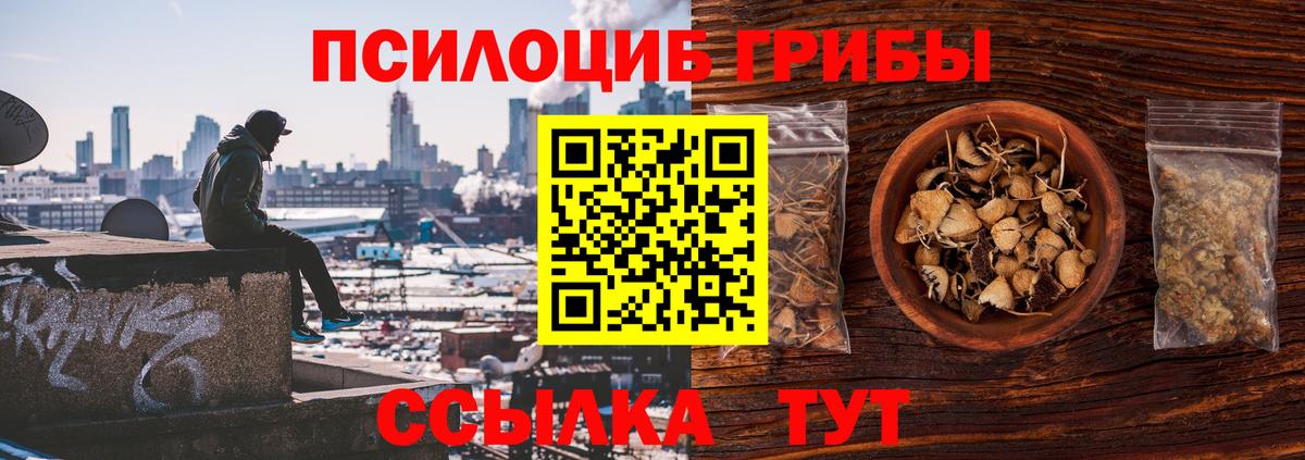 Галлюциногенные грибы прущие грибы  Вход с VPN  Алушта 