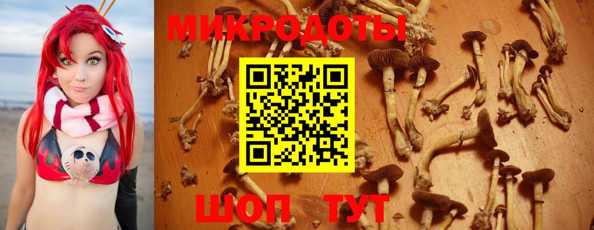 Галлюциногенные грибы мухоморы  Алушта  Галлюциногенные грибы Magic Shrooms 